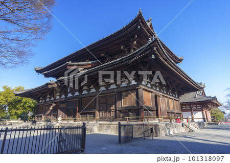 東寺　青空に映える金堂（京都府京都市南区） 101318097