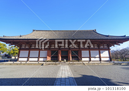 東寺　青空に映える講堂（京都府京都市南区） 101318100