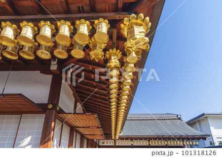 東寺　西院　大日堂　ずらっと並ぶ釣金灯籠 101318126