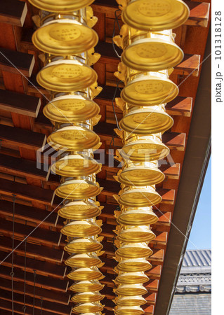 東寺　西院　大日堂　ずらっと並ぶ釣金灯籠 101318128