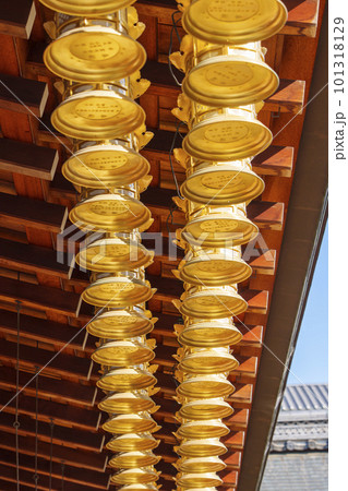 東寺　西院　大日堂　ずらっと並ぶ釣金灯籠 101318129