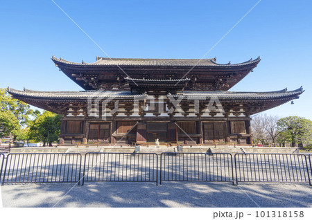 東寺　青空に映える金堂（京都府京都市南区） 101318158