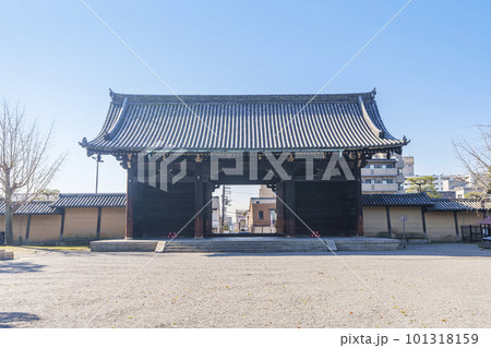 東寺　青空に映える南大門 101318159