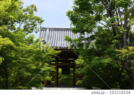 智積院　鐘楼 101318526