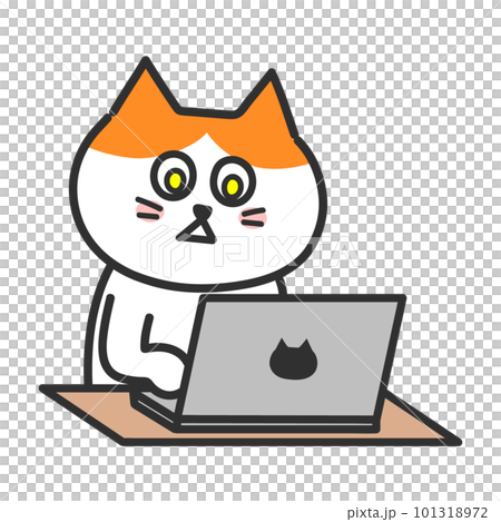 Computer operation Brown-white cat with yellow eyes Illustration 101318972