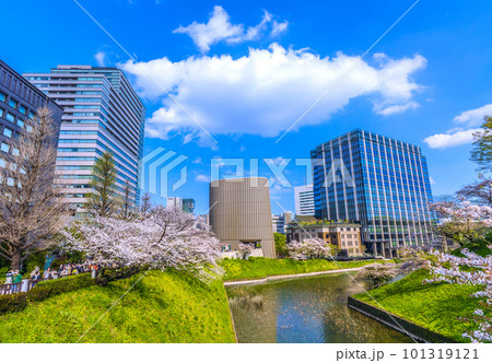 日本の東京都市景観 田安門附近から昭和館や満開の桜などを望む＝4月1日 101319121