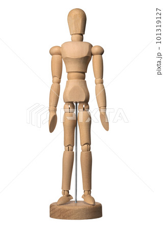 木製の人体模型 木製の人体模型 101319127