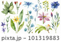 アネモネとの花のシームレスパターンイラスト 101319883