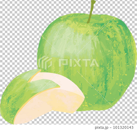 うさぎりんご　青りんご　うさぎ　果物　フルーツ　手描き　水彩　油絵　かわいい　おしゃれ　イラスト素材 101320143
