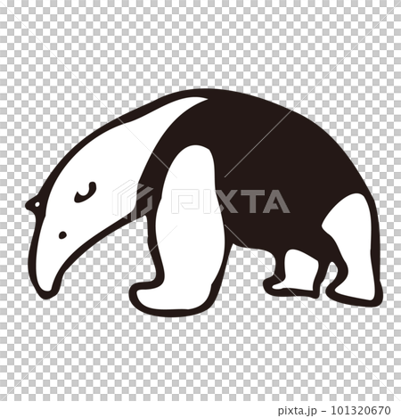 飛揚的食蟻獸圖 101320670