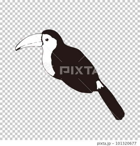 横を向いたオオハシのペン画のモノクロイラスト 101320677