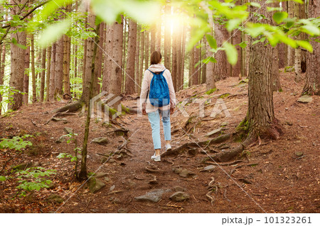 Picture of young woman resting going for walk in forest, carrying blue backpack, dressed casually, being in wood on sunset light in spring season, enjoying wonderful landscapes. Traveling concept. 101323261