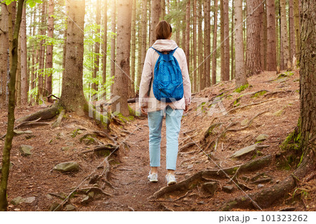Outdoor shot of girl traveler walking in forest, girl with blue backpack in woods, young lady walks along forest path, woman with bag on her shoulders travels through wild forest. Lifestyle concept. 101323262