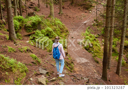 Back view of active traveller wandering between canopy of trees, choosing better path, searching for right way out, enjoying her holidays, spending her spare time with nature. Traveling concept. 101323287