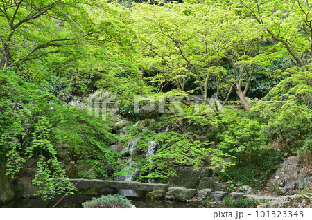 浜松城公園 101323343