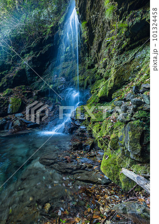 日本 徳島県三好市西祖谷山村にある祖谷のかずら橋の近くにある琵琶の滝 日本 徳島県三好市西祖谷山村にある祖谷のかずら橋の近くにある琵琶の滝 101324458