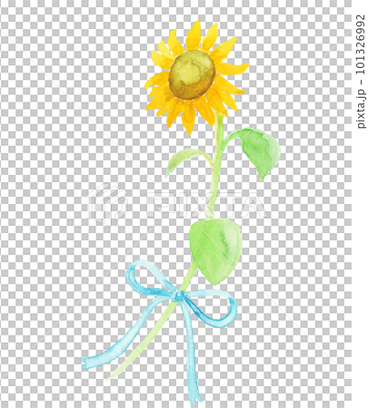 水彩畫的向日葵夏季賀卡插圖 水彩畫的向日葵夏季賀卡插圖 101326992
