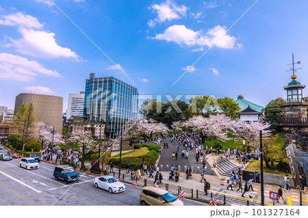 日本の東京都市景観 昭和館や満開の桜、日本武道館などを望む・奥は田安門方向＝4月1日 101327164