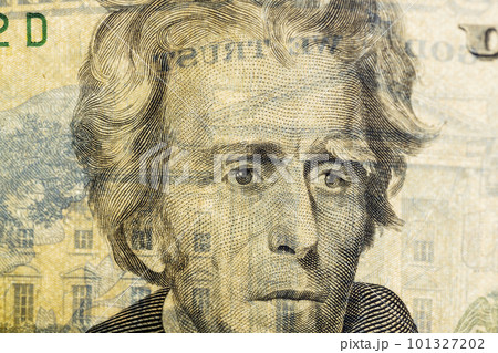 a close-up of twenty American dollars transparent in the light 101327202