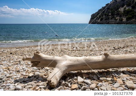 Driftwood on a beach, Greece 101327370
