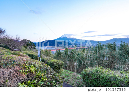 夜明けの富士山（静岡県富士市） 101327556
