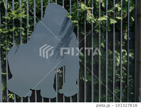 Kiev, Ukraine July 6, 2021: Artistic decoration of the facade of the fence with images of zoo animals in the center of Kiev 101327616
