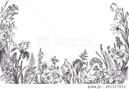 Spring bouquet. Vintage card with garden flowers. Botanical illustration. Floral background. Black and white. 101327811