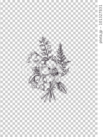 Lily of the valley, anemone, snowdrop, fern. Spring bouquet of flowers. Vintage engraving style. Botanical illustration. Black and white. Lily of the valley, anemone, snowdrop, fern. Spring bouquet of flowers. Vintage engraving style. Botanical illustration. Black and white. 101327831