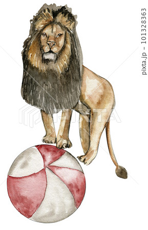 Watercolor hand drawn circus lion vintage style. A drawing of an lion on with a red ball. Perfect for wedding, invitations, blogs, card templates, birthday and baby cards, patterns, quotes. 101328363