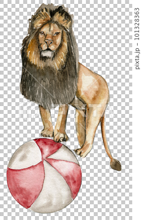 Watercolor hand drawn circus lion vintage style. A drawing of an lion on with a red ball. Perfect for wedding, invitations, blogs, card templates, birthday and baby cards, patterns, quotes. 101328363
