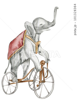 Watercolor hand drawn circus elephant on the bicycle vintage style. Perfect for wedding, invitations, blogs, card templates, birthday and baby cards, patterns, quotes. isolater on white background. 101328364