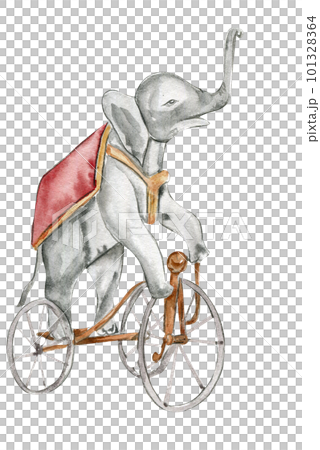 Watercolor hand drawn circus elephant on the bicycle vintage style. Perfect for wedding, invitations, blogs, card templates, birthday and baby cards, patterns, quotes. isolater on white background. 101328364