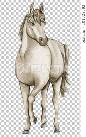 Watercolor hand drawn circus white horse on the white background. Horse illustration. Watercolor painting of a galloping horse. Perfect for greetings card, poster, invitation and party decoration. 101328392
