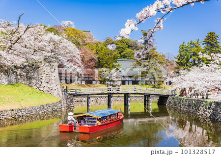 春の彦根城 内堀を遊覧する屋形船 春の彦根城 内堀を遊覧する屋形船 101328517