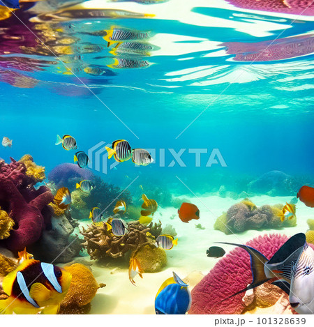 Underwater world in tropical ocean. Underwater world in tropical ocean. 101328639