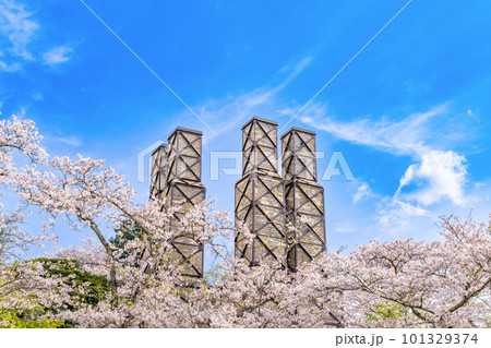 静岡県伊豆の国市　満開の桜と反射炉 101329374