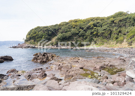 真鶴岬(真鶴半島) 真鶴岬(真鶴半島) 101329424