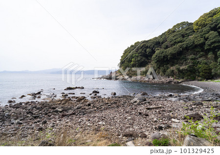 真鶴岬（真鶴半島） 101329425