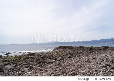 真鶴岬（真鶴半島） 101329429