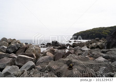 琴ヶ浜（真鶴半島） 101329437