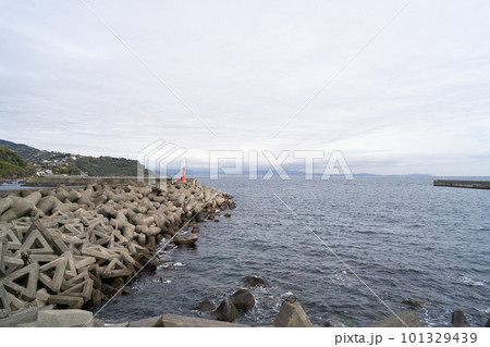 琴ヶ浜（真鶴半島） 101329439