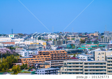 日本の横浜都市景観 桜満開。たまプラーザ駅などを望む。画面右に国学院大学 101329773