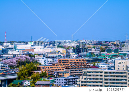 日本の横浜都市景観 桜満開。たまプラーザ駅などを望む。画面右に国学院大学 101329774