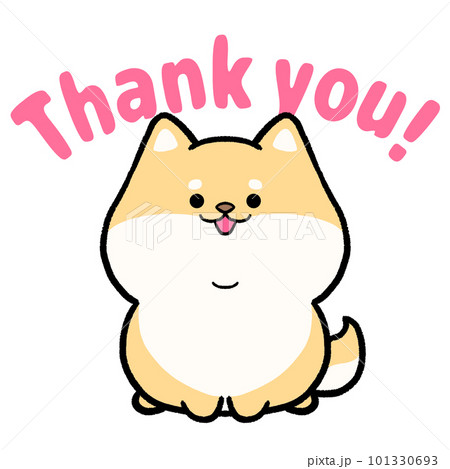 柴犬と「Thank you」の文字のイラスト素材 [101330693] - PIXTA