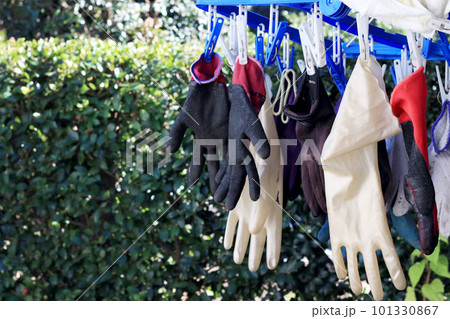 洗濯ハンガーで干される作業用の手袋 洗濯ハンガーで干される作業用の手袋 101330867