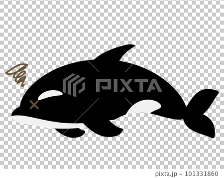 鬆散的虎鯨失敗 101331860