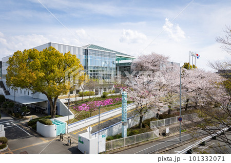 大阪府吹田市のくるくるプラザ（吹田市資源リサイクルセンター）と満開の桜 101332071