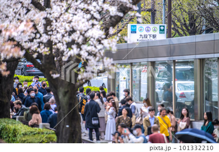 日本の東京都市景観 個人判断のマスク着用。桜が満開で賑わう九段下駅などを望む=4月1日 日本の東京都市景観 個人判断のマスク着用。桜が満開で賑わう九段下駅などを望む=4月1日 101332210