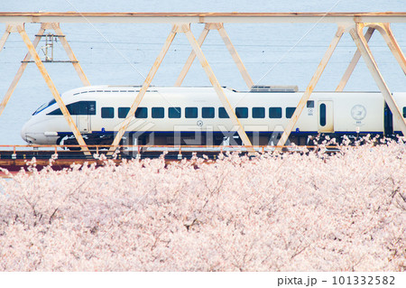 桜咲く大野川を渡る885系特急電車（JR九州） 101332582