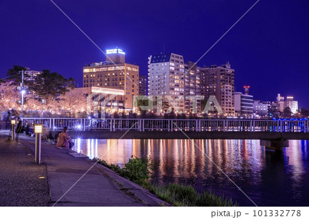 岡崎市、岡崎公園の夜桜 101332778